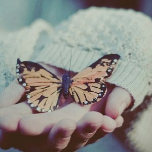 成人激情黄色小说
