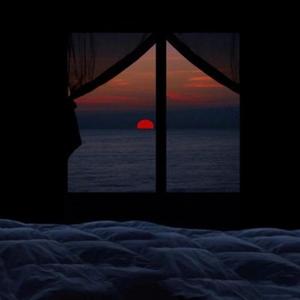 成人激情黄色小说
